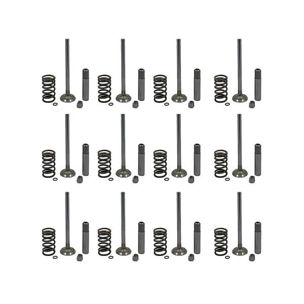 UA999691  Valve Train Kit, New - 4020 Gas